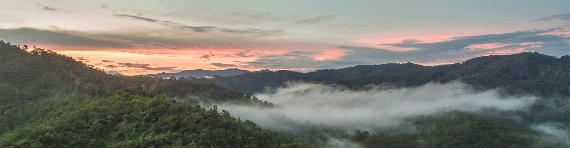 Informationen über Borneo Informationen über Borneo